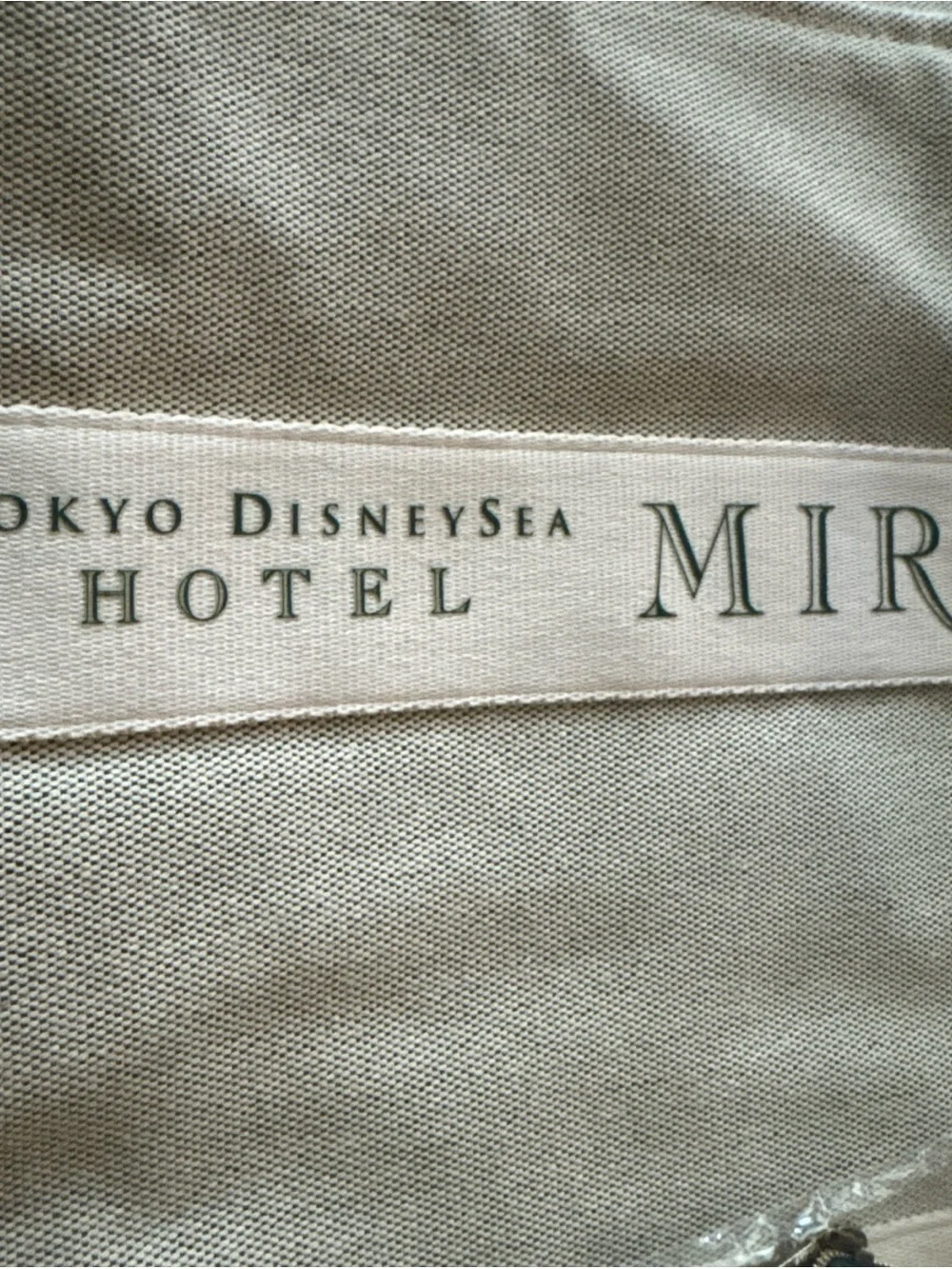 Brand New, In Hand Tokyo DisneySea Miracosta Tote Bag Set Disney